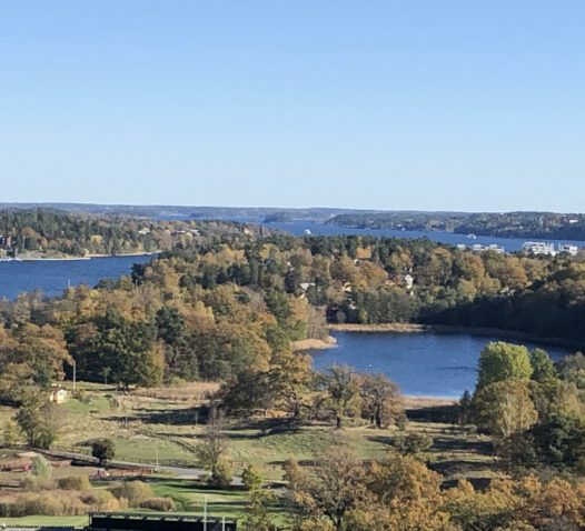 Utsikt över en sjö och skogar med höstfärgade träd under en klarblå himmel.