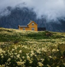 Ett gult hus står på en äng av blommor med berg och moln i bakgrunden.