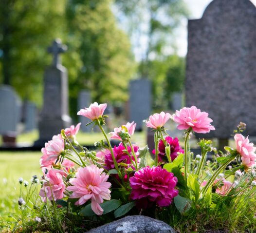 En gravsten på en kyrkogård omgiven av rosa och röda blommor i förgrunden.